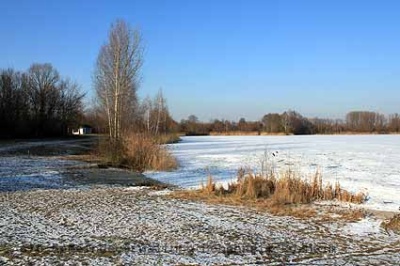 04.jpg