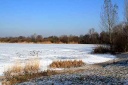 05.jpg