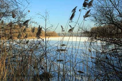 07.jpg