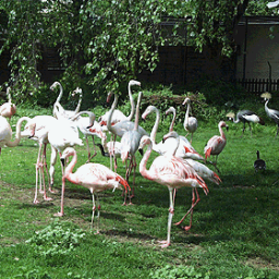 5_Vogelpark