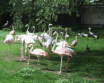 5_Vogelpark